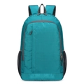 Lake blue outdoor sports backpack with mini grid tear-resistant texture and mesh pockets - Lake Blue