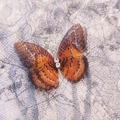 Pinza mariposa de tul de doble capa en naranja y negro con brillantes de imitación - Estilo Biónico Naranja Negro (Nuevo Estilo No. 4)