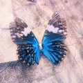 Blue and brown double-layered tulle butterfly hair clip with sparkling rhinestones - Blue Brown White Spotted Style (New Style No. 10)
