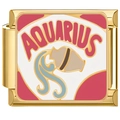 Detail of gold Aquarius zodiac charm link with colorful enamel for Italian bracelets - Aquarius (4322-Aquarius Gold)