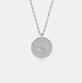 Elegante s925 sterling zilveren ketting met hanger letter S bezet met sprankelende zirkonia - 925 zilver / Platina (Letter S)