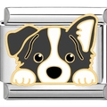 Makroansicht des 9mm Edelstahl-Charms mit Border Collie Hundemotiv aus Emaille - Border Collie (1950)