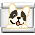 Makro-Detail eines 9mm Edelstahl-Charms mit einer schwarz-weißen Französischen Bulldogge - Französische Bulldogge (1951)