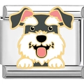 Makroaufnahme eines Edelstahl-Charms mit buntem Emaille-Motiv eines Schnauzer-Hundes - Schnauzer (1953)