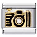 Detailed close-up of a stainless steel modular charm link featuring a camera design - Bronze Camera