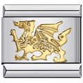 Vista macro di un charm in acciaio inossidabile 304 con un emblema di drago dorato - Drago Cinese