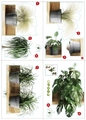 Flat layout of 3D green plant wall stickers with wood shelf patterns and PVC decals - Green Plants Shelf Style