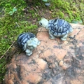 Statuine di tartaruga in resina in miniatura per micro-paesaggi e decorazioni - Motivo Maculato Realistico / caffè
