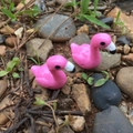 Miniature pink flamingo resin figurines for succulent pots and DIY fairy garden decor - Male