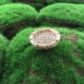 Cesto in bambù in miniatura per paesaggi di muschio e decorazione fai da te di succulente - Stile Miniatura / Caffè Chiaro