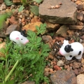 Zwei Mini-Kuhfiguren aus Harz mit schwarzen Flecken für Terrarien und Bonsai-Dekor - Kuh Figur / 2 Stück (2.5cm) / Weiß