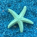 Mint green resin starfish ornament with realistic texture on a blue sandy background - 3cm Pitted Style / Blue