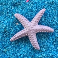 Purple resin starfish ornament for aquarium decor on blue sand background - 3cm Pitted Style / Purple