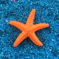 Vibrant orange resin starfish figurine on blue gravel for aquarium landscaping decoration - 3cm Pitted Style / Orange