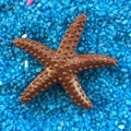 Artificial brown resin starfish with textured surface on blue gravel for aquarium decor - 3cm Pitted Style / Coffee