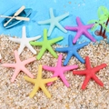Colorful resin starfish set in various shades for DIY beach micro landscape decoration - Starfish