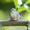 Charming grey resin bird figurine with orange beak for succulent moss landscape decor - Coffee Bird (Head Turned)