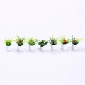 Set of 7 miniature dollhouse plants with green leaves and colorful flowers in white pots - Assorted Styles Collection