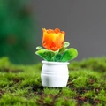 Miniatuur poppenhuisplant met oranje bloem en groene bladeren in een klein wit potje - Oranje