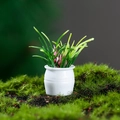 Miniatuur poppenhuisplant met roze bloemen en groene bladeren in een witte keramische pot - Roze Stijl (1)