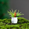 Miniatuur poppenhuisplant met groene bladeren en rode bloemen in een witte keramieken pot - Rode Stijl (2)