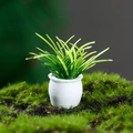 Dollhouse miniature green plant model in white ceramic pot for micro landscape decor - Light Green Style (6)