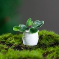 Miniature dollhouse succulent in white ceramic pot with green and purple foliage details - Purple Red Style (7)
