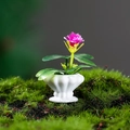 Miniatur-Puppenhaus-Pflanze mit rosa Blüte und grünen Blättern in weißem Topf - Rosepink-Stil (Nr. 1)