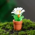 Miniature dollhouse potted plant with white flower and green leaves in orange pot - White Petal Daisy