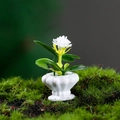 Miniatur-Puppenhaus-Pflanze mit weißer Blüte und grünen Blättern in weißem Topf - Weiß (Nr. 3)