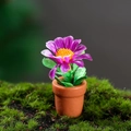Miniature dollhouse plant with purple petals and green leaves in a small reddish-brown pot - Purple Petal Daisy