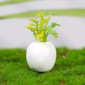 Plante succulente miniature pour maison de poupée dans un pot sphérique blanc sur mousse - Style 3 (Plante à Pointes Jaune Clair)