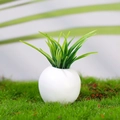 Plante succulente miniature pour maison de poupée avec base en céramique blanche - Style 4 (Plante d'Herbe Svelte)