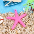 Pink resin starfish pendant with granular texture for Mediterranean DIY home decor - Starfish With Rope / Rose Red
