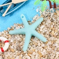 Light blue resin starfish charm with lifelike texture for DIY Mediterranean decor - Starfish With Rope / Light Blue