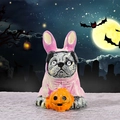 Miniature resin pug dog in pink bunny suit holding pumpkin Halloween figurine - Magic Bunny Costume Pug