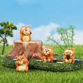 Set of four cute resin squirrel miniatures for micro landscape and bonsai garden decor - Complete Various Styles