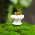 Miniatur-Puppenhaus-Blumentopf mit rot-grünen Pflanzen und weißem Retro-Sockel - Stil A