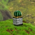 Miniatura di cactus per casa delle bambole in vaso quadrato moderno con motivi a onde bianchi e neri - Stile Cactus Verde