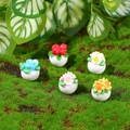 Five assorted miniature dollhouse flower pots set in white resin bases on green moss - Assorted Floral Variety Collection