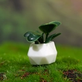 Miniature dollhouse plant in a white geometric pot on a green moss background - Dark Green (Style B)