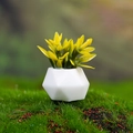 Miniature dollhouse plant with yellow-green succulent in a white geometric resin pot - Yellow Green (Style C)