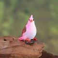 Pink and white gradient parrot figurine for succulent landscape garden decor - Rose Red
