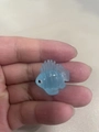 Light Blue Fish (Style A)