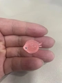 Pink Round Fish (Style B)