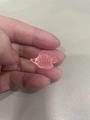Pink Tropical Fish (Style G)