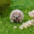 Miniature resin hedgehog figurine for terrarium DIY garden decor in light brown finish - Looking Up Hedgehog