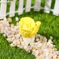 Miniatura de col china de resina para casa de muñecas con textura realista amarilla y blanca - Estilo D