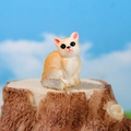 Miniature orange and white resin cat figurine for DIY micro landscape garden decor - Cat / Orange and White