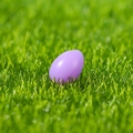 Creative purple Easter egg resin ornament placed on green grass for micro landscape - Purple Easter Egg